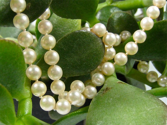 pearls and Jade