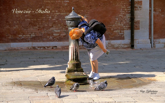 LOOK ! ..... THIS WOMAN STEAL the VENETIAN PIGEON'S WATER in ITALY