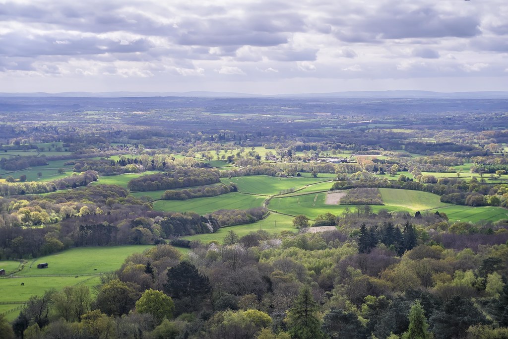 SE View from Leith Hill Tower