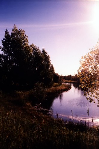 Olympus Trip 35 Roll 2-21 by John Weed Photos, canada film nature analog 35mm olympus analogue believeinfilm