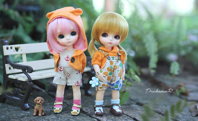 Summer Babies | Lati Doll | Suji + Haru