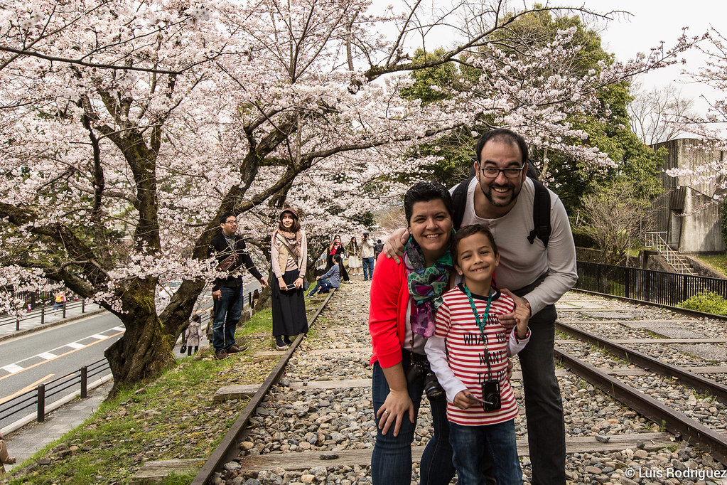 Japonismo al completo disfrutando de los cerezos en flor de la cuesta Keage