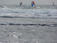 3 Windsurfers