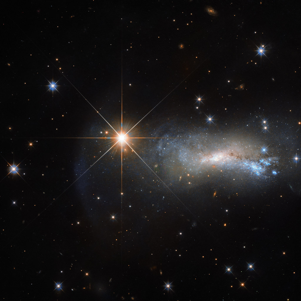 Star from the Lizard Constellation Photobombs Hubble Observation