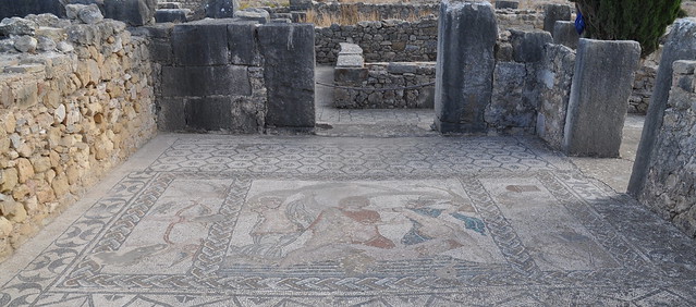 Mosaic in Volubilis