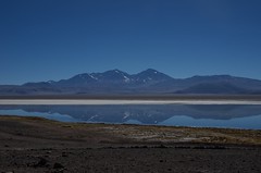 Flamingos, Nevado de Tres Cruces and Laguna Santa Rosa
