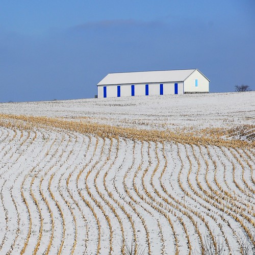 white snow field corn day farm kentucky bloomfield pwwinter