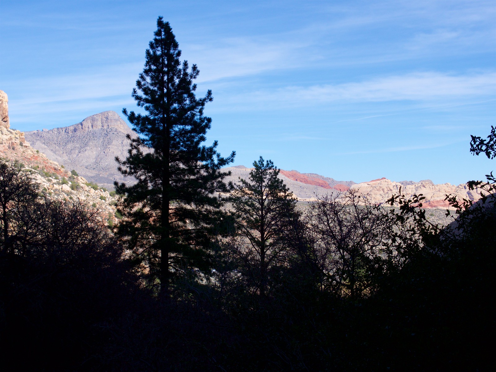Red Rock Canyon