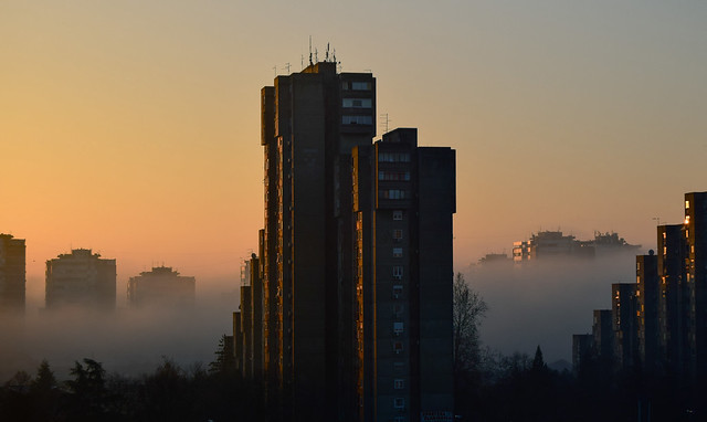 skyscrapers in fog