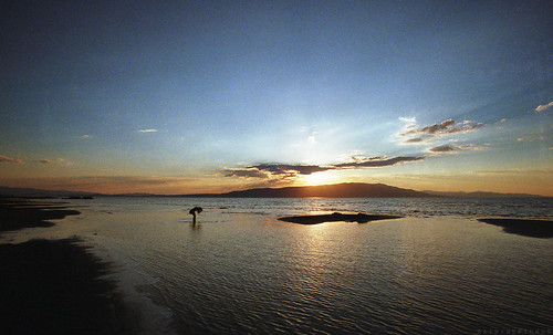sunset lake film beach analog bay utah waves shore provo utahlake sandybeach filmphotography analogphotgraphy provobay