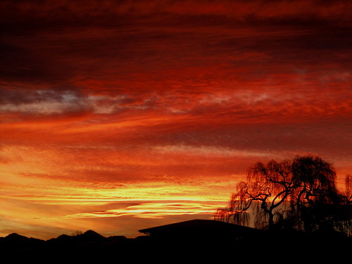 red sky night sunset willow tree salix babylonica babylon weeping alabamavets blenheim marlborough newzealand alabama vets flickr macadee vet