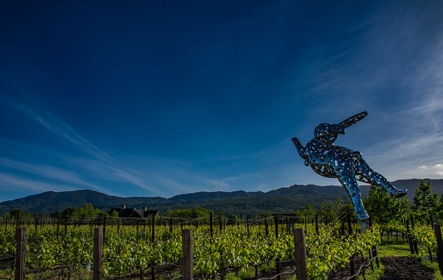 The Hall Winery Rabbit Sculpture
