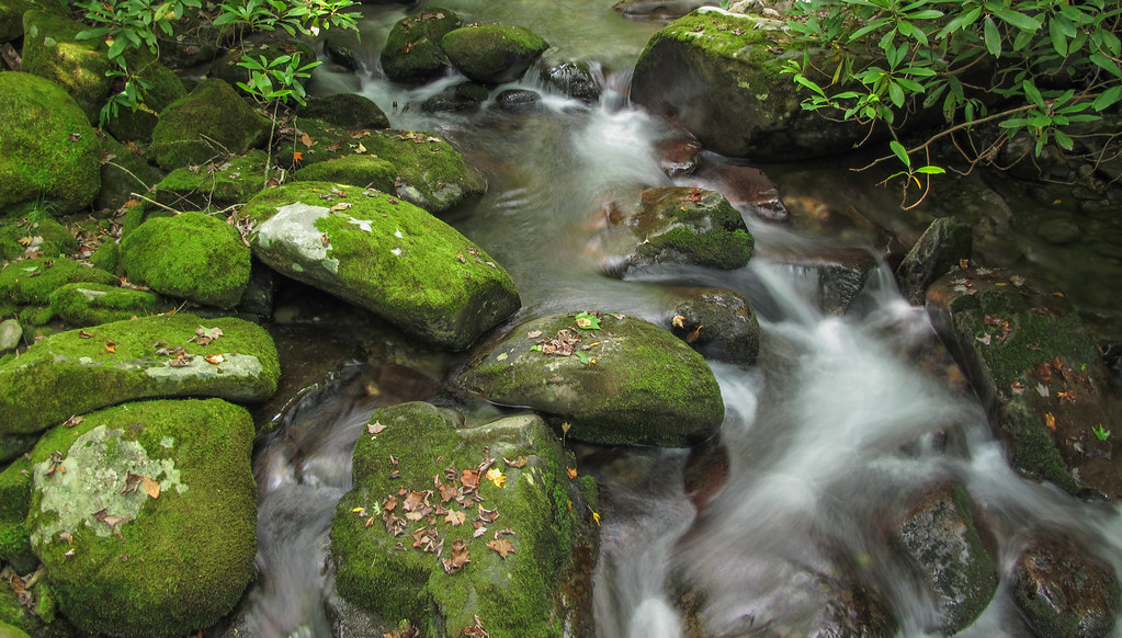 Kanati Fork Trail