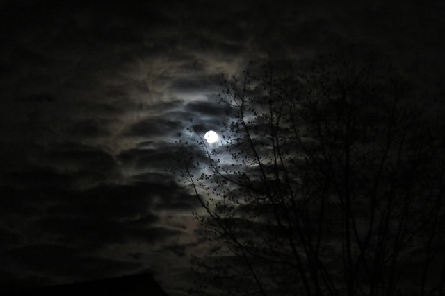 Der Mond am 11.04 (4)