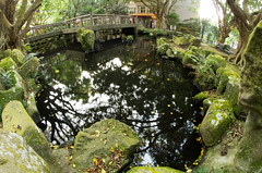 Pond in the Taipei Chinese Culture University
