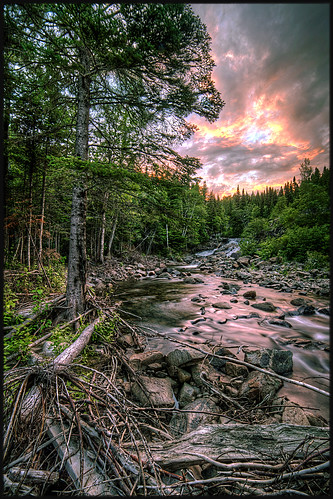 sunset red summer cloud canada tree green nature water pine forest river landscape rouge fire soleil eau quebec earth air riviere coucher vert terre nuage paysage foret arbre hdr feu sapin ete