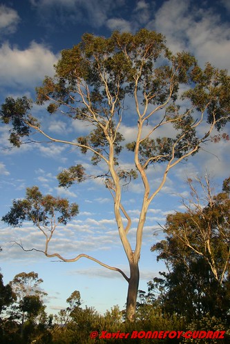 sunset tasmania tasmanpeninsula australiel’
