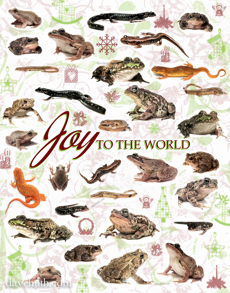Joy to the World, 2013
