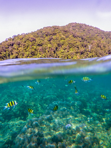Similan Islands, Thailand