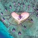 Love Island Trilogy DJI Phantom 4 20mm, F/2.8, 1/780”, ISO100 :copyright: 2 0 1 7 o y i s c a p e s  The third aerial photo of this lovely island. The love shape is now clearer to see. It's big, it's pink and it's really love.  #telkomselmerahputih #insta