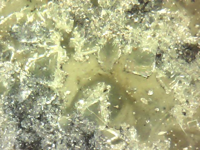 Formas e cores de cristais no esmalte cerâmico - Foto em microscópio