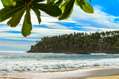 sea summer panorama seascape beach palms srilanka mirissa