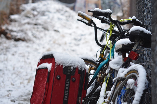 Snow accumulating, first nyc snowfall: suitcase and bike