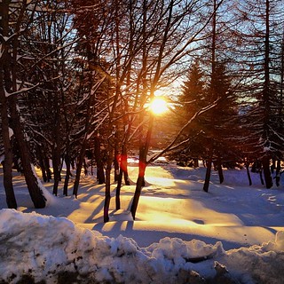 Sunset on the snow.