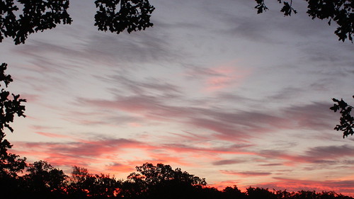 nature sunrise clouds pink purple framed frame trees oklahoma feathery