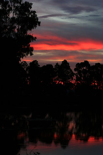 Loddon River sunset, Kerang (6)