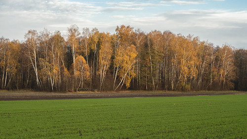 Polish Autumn by konradpoland, autumn poland jesień polska countryside wieś fall nikkor 50 50mm 18d 18 nikon d90 paisaje natural fo