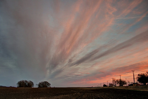 Flare by blonboy, trees sunset sun field weather day texas cloudy dfw wylie