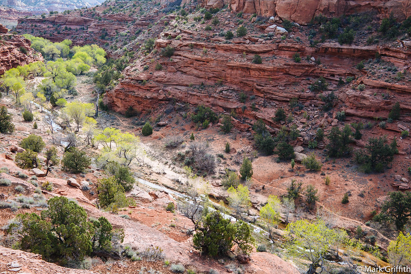 Phillips Wash