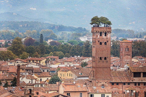 lucca tuscany italy tower guinigitower architecture roof