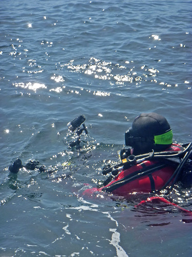 Diver with Camera | by Liz Satter