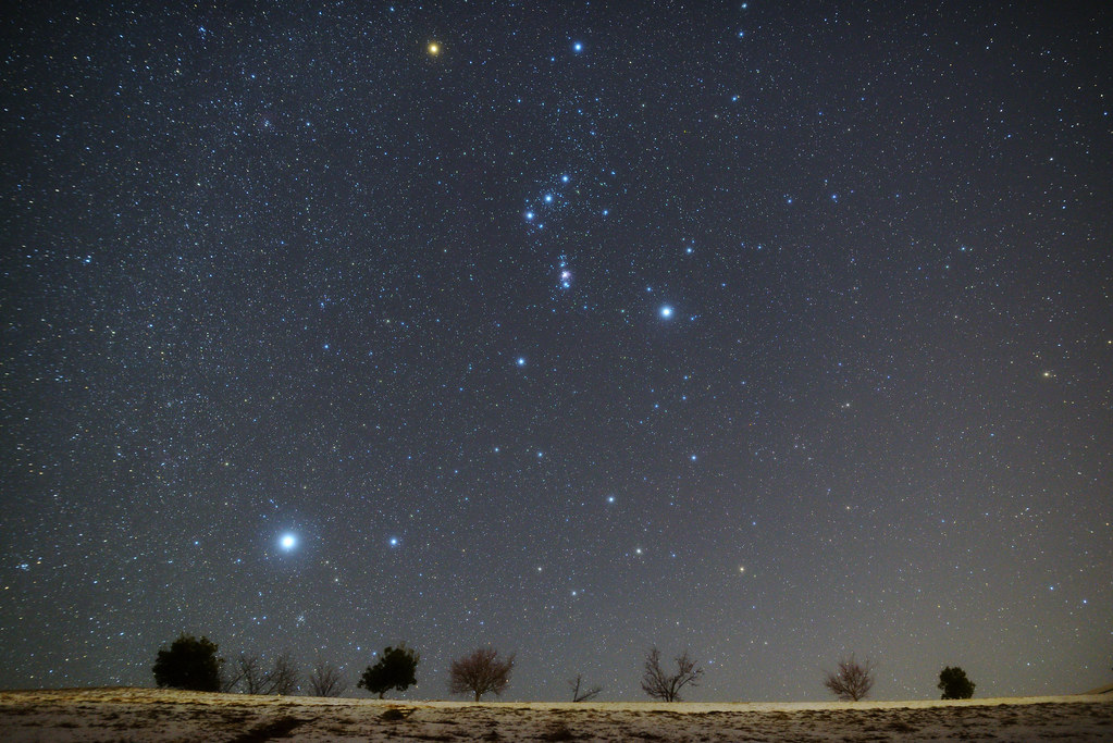 Sirius and Orion
