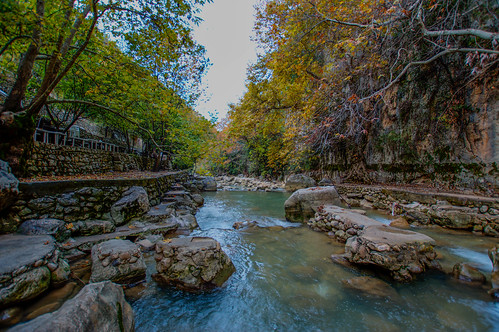 lebanon kartaba qartaba jbeil river water nature landscape green nikon wide angle trees janne creek stream forest lake