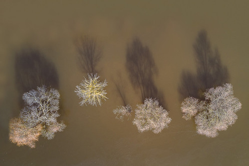 dronas 2017 europe djieurope baltic lithuania drone aerial aerialphotography dji djimavicpro mavic pro mavicpro birdseye landscape djiglobal flooding spring kaunas tree water river topview