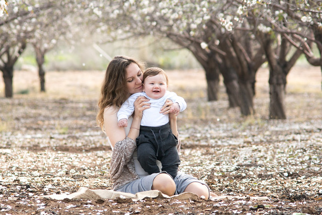 Almond blossoms