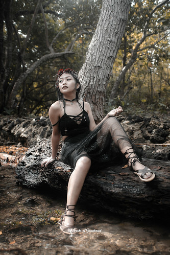 Wild Gothic nostalgia | by Artworks of Scanhead