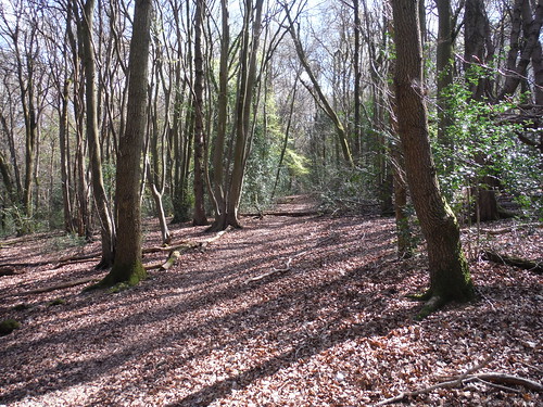 Courns Wood SWC Walk 10 - Little Kimble to Saunderton