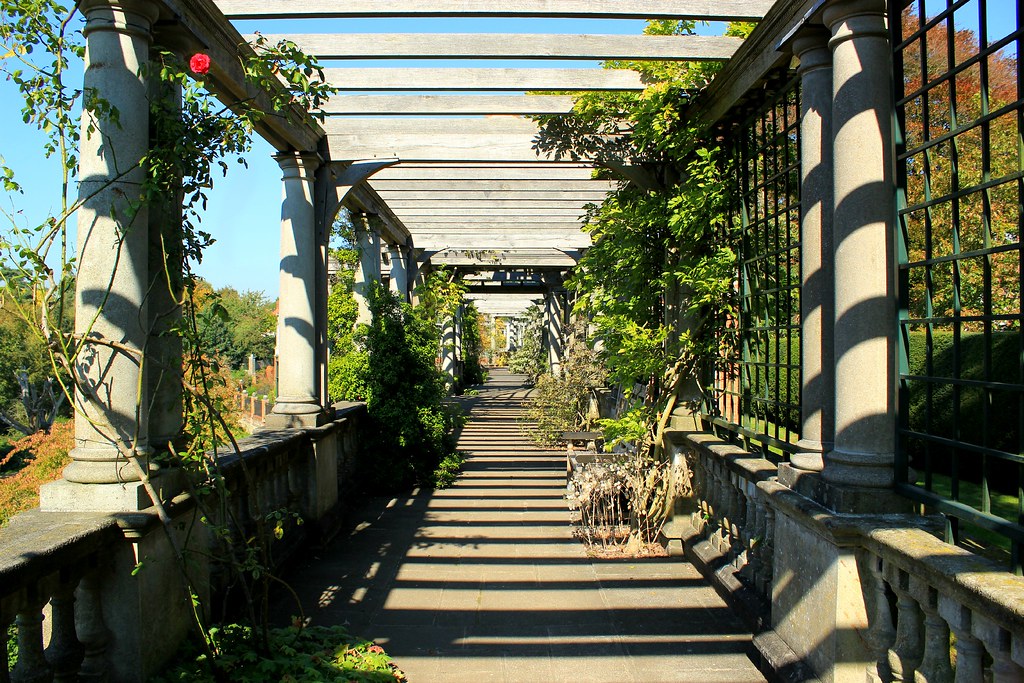 Hampstead Heath Pergola