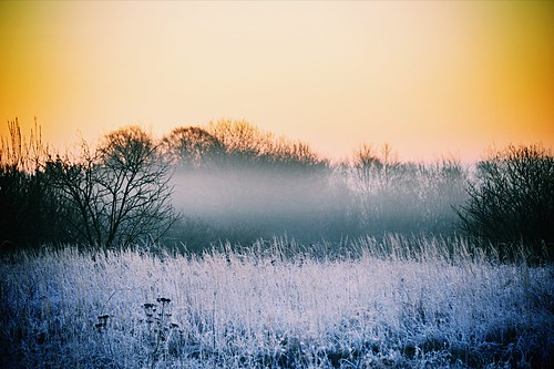 great nice landscape nature frost sunrise morning dslr d3200 nikon