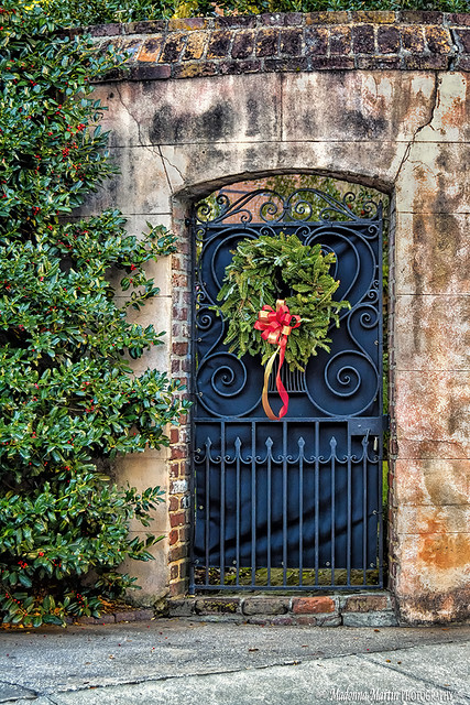 Church Street garden gate, decked out for Christmas