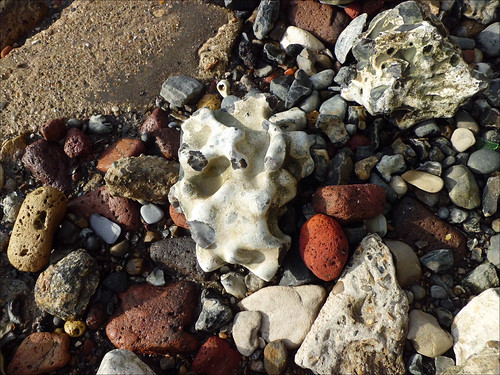 Wapping Foreshore – Flint | by Dave Tapsell