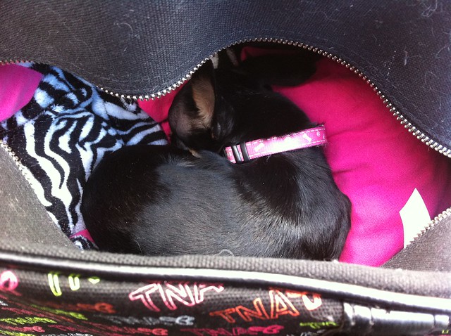 Sleeping in her TNA bag