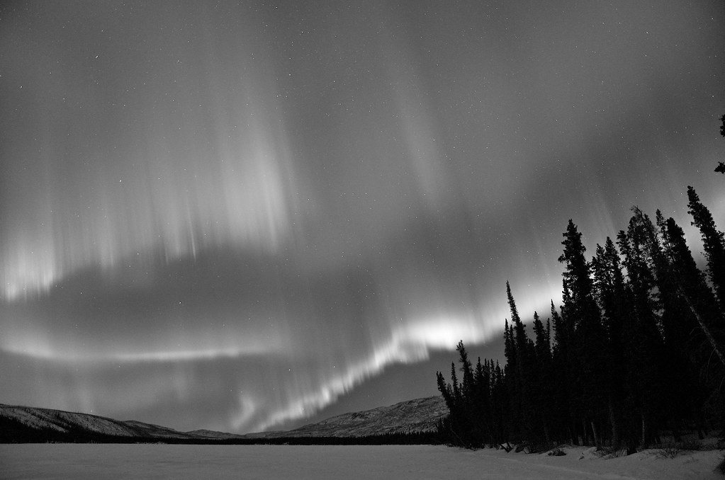 Northern Lights Explored -B&W