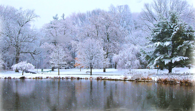 Intense Winter Landscape