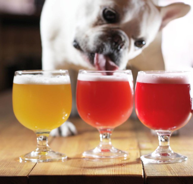 Happy Easter! We are open noon til 10 today and Monday 4-11pm. Come enjoy the three refreshing and very expressive Fruited Berliner Weiss-Style sour wheat beers in our Glow Up series. Cherry, Citrus Melange and Raspberry. #folksbiertastingroom