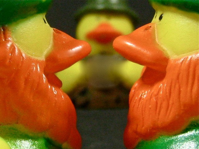 duck dynasty